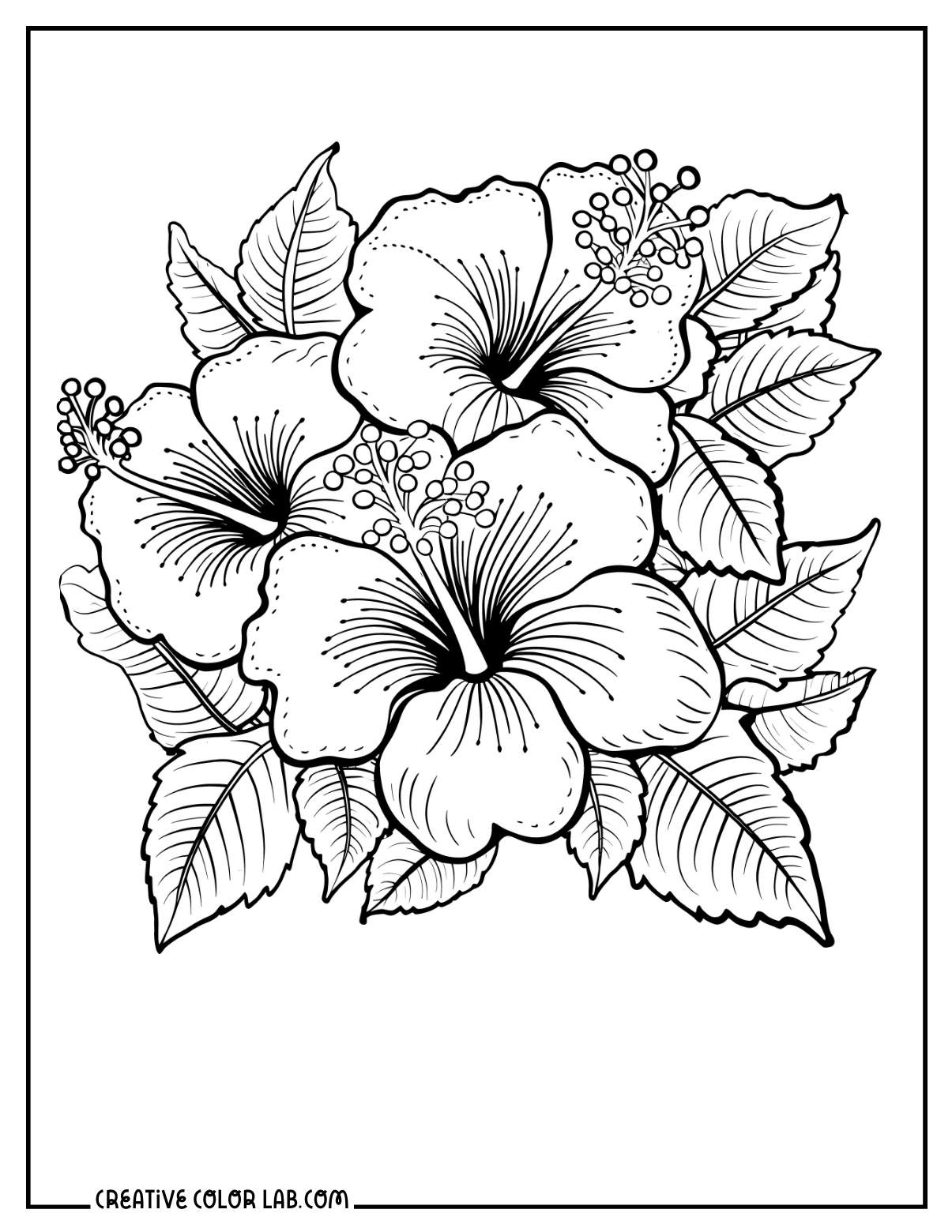 10 Hawaiian Tropical Flower Coloring Pages | Free Pdf Printables within Free Printable Hibiscus Coloring Pages