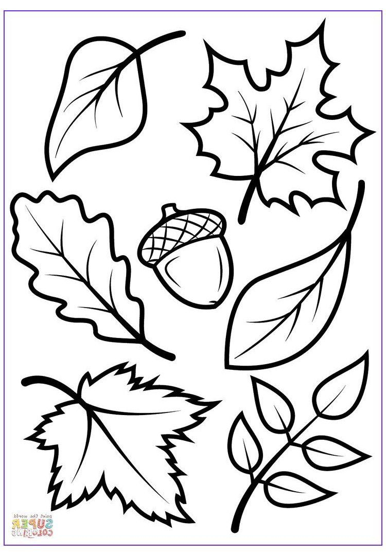 15 Elegant Fall Coloring Sheets Printable Photos #Printable #Fall inside Free Printable Fall Leaves Coloring Pages