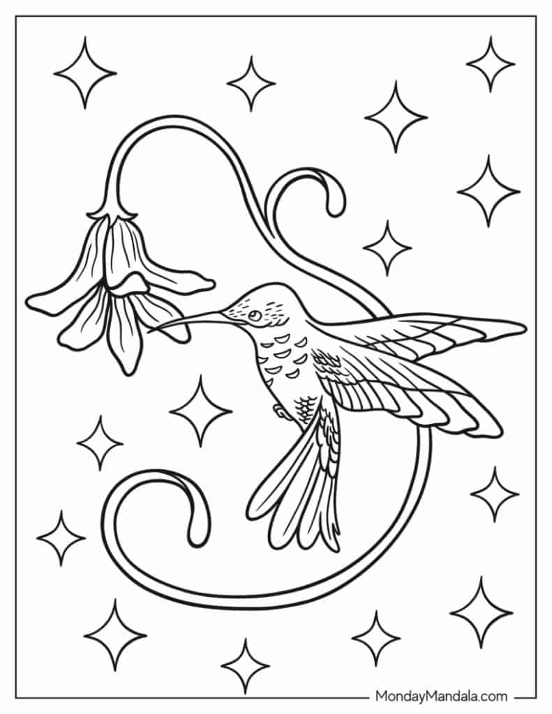 20 Hummingbird Coloring Pages (Free Pdf Printables) in Free Printable Pictures Of Hummingbirds