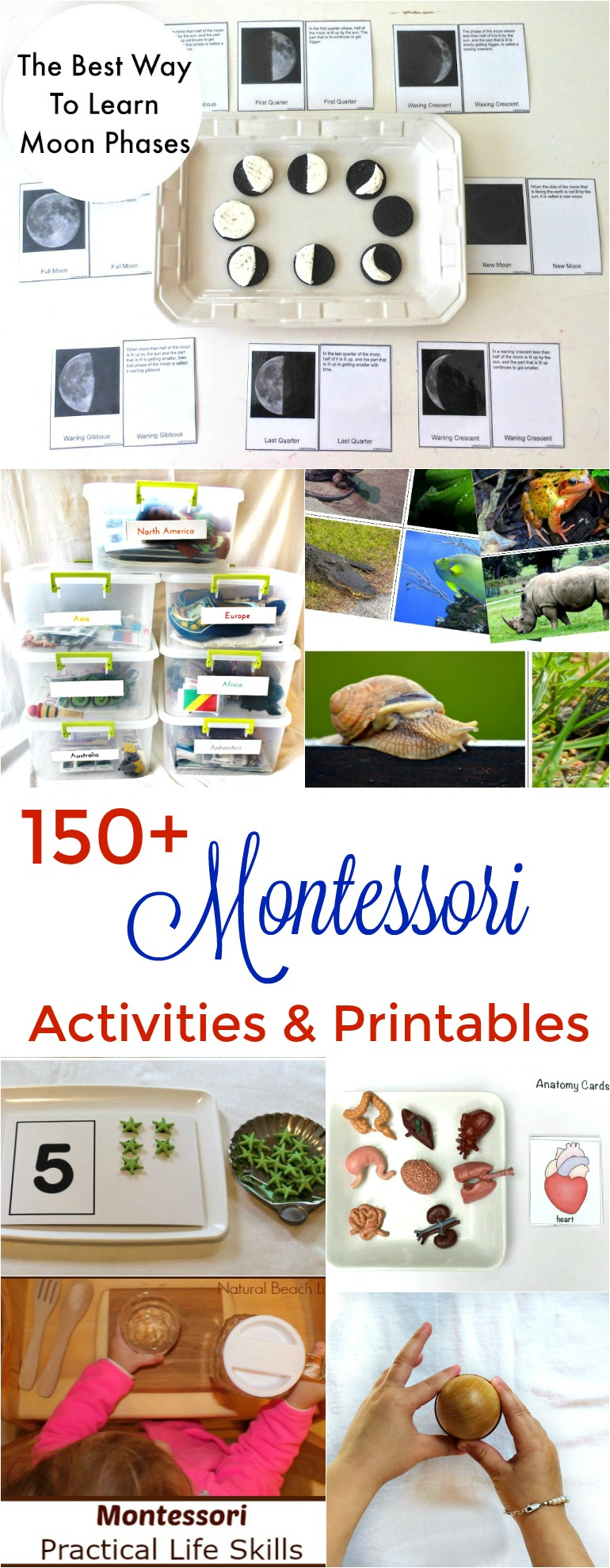 200+ Amazing Montessori Activities And Free Printables - Natural with Free Montessori Printables