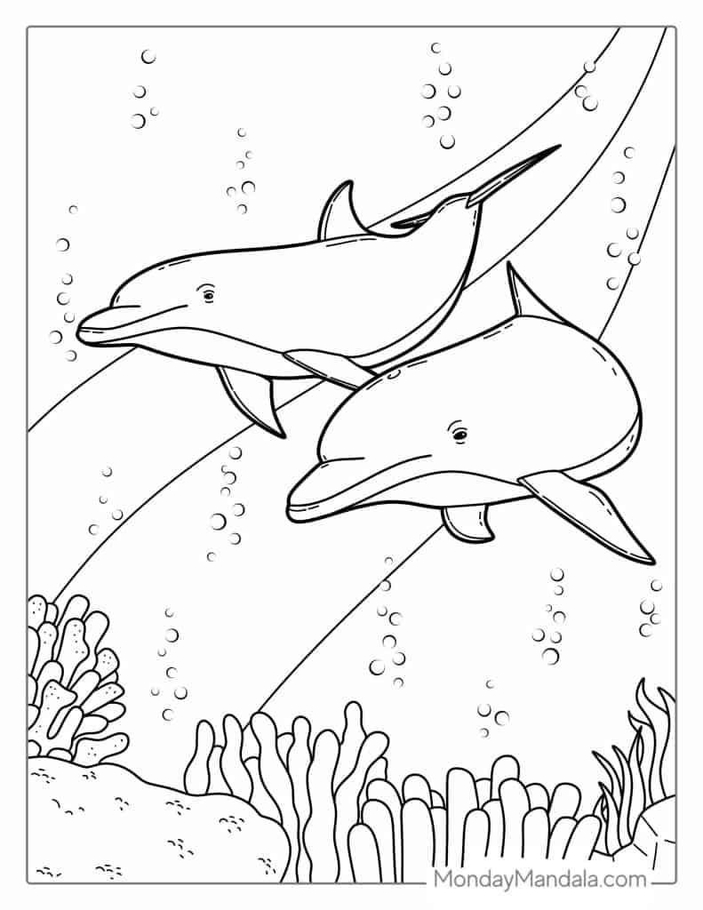 34 Dolphin Coloring Pages (Free Pdf Printables) in Dolphin Coloring Sheets Free Printable