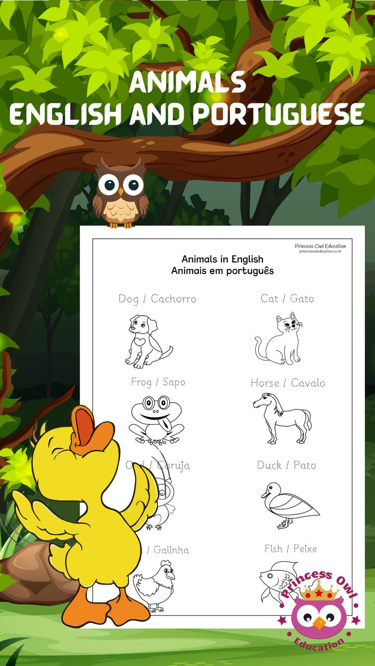 Animals In English And Portuguese Worksheet within Free Printable Portuguese Worksheets