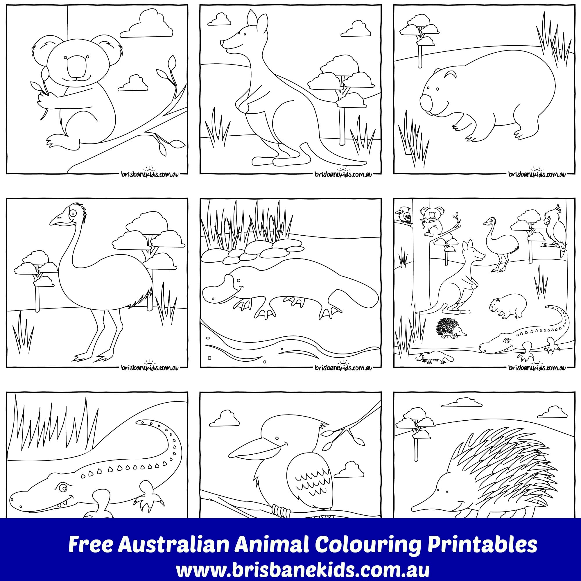 Australian Animals Colouring Pages - Brisbane Kids throughout Free Printable Pictures Of Australian Animals