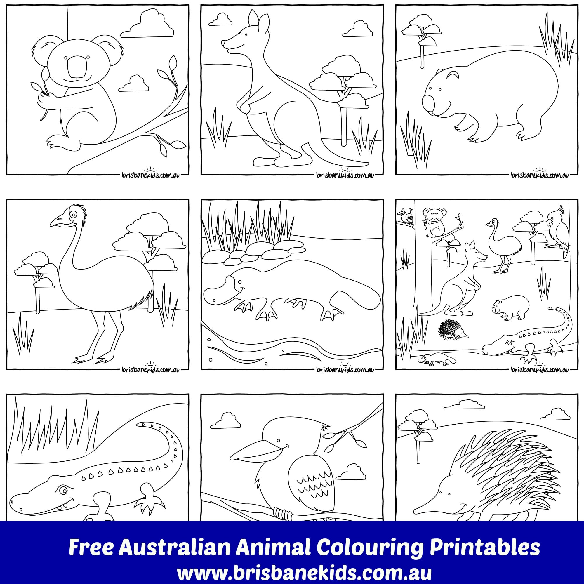 Australian Animals Colouring Pages - Brisbane Kids within Free Printable Australian Animals
