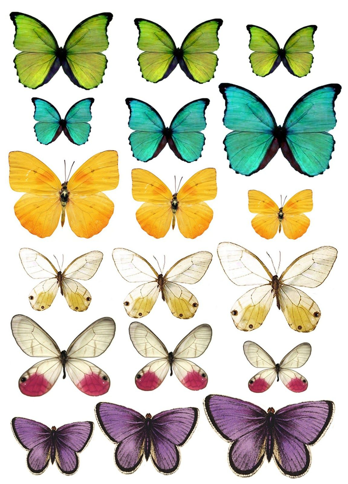 Colorful Butterfly Collection pertaining to Free Printable Images Of Butterflies