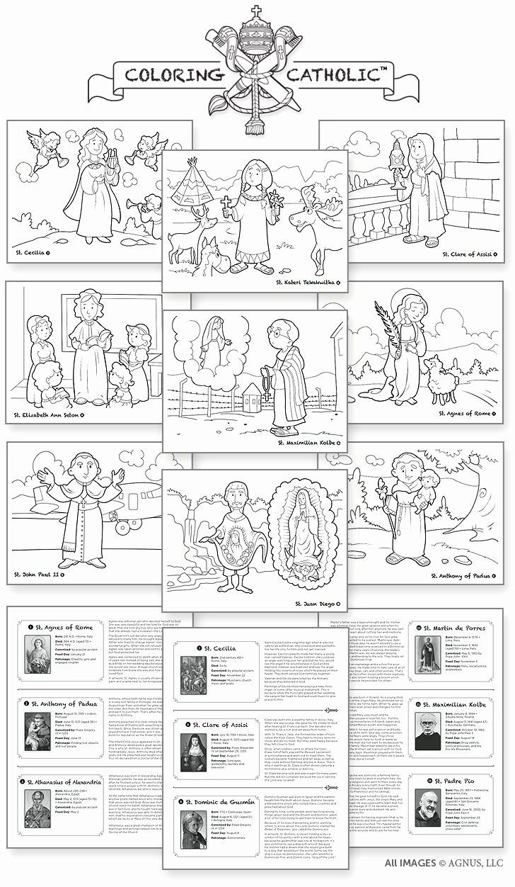 Discover The Joy Of Catholic Mass With Interactive Worksheets For Kids within Free Printable Catholic Mass Book