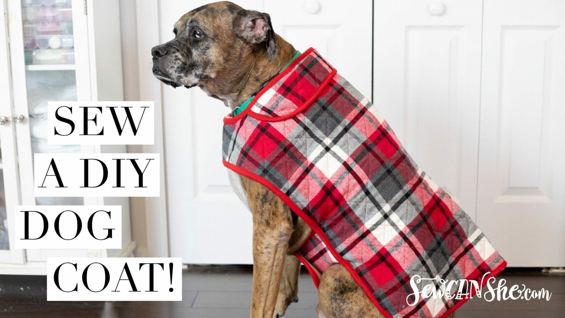 Diy Fur Baby Coat - How To Sew A Dog Coat regarding Dog Coat Sewing Patterns Free Printable