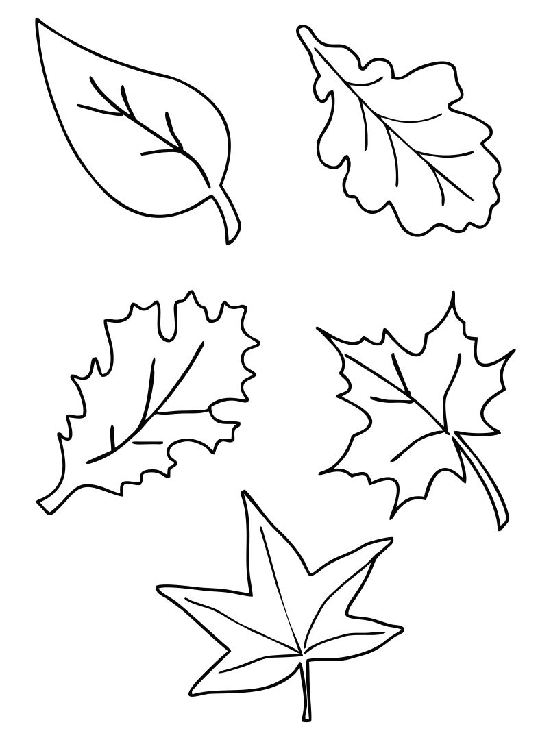 Fall Leaf Template Free Printable - Printable Templates Free with regard to Free Printable Leaf Template