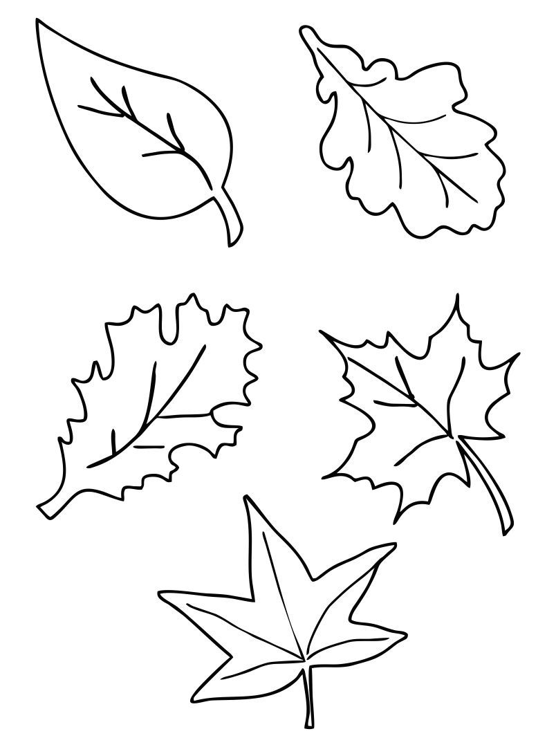 Fall Leaves Templates - 10 Free Pdf Printables | Printablee intended for Fall Leaves Pictures Free Printable