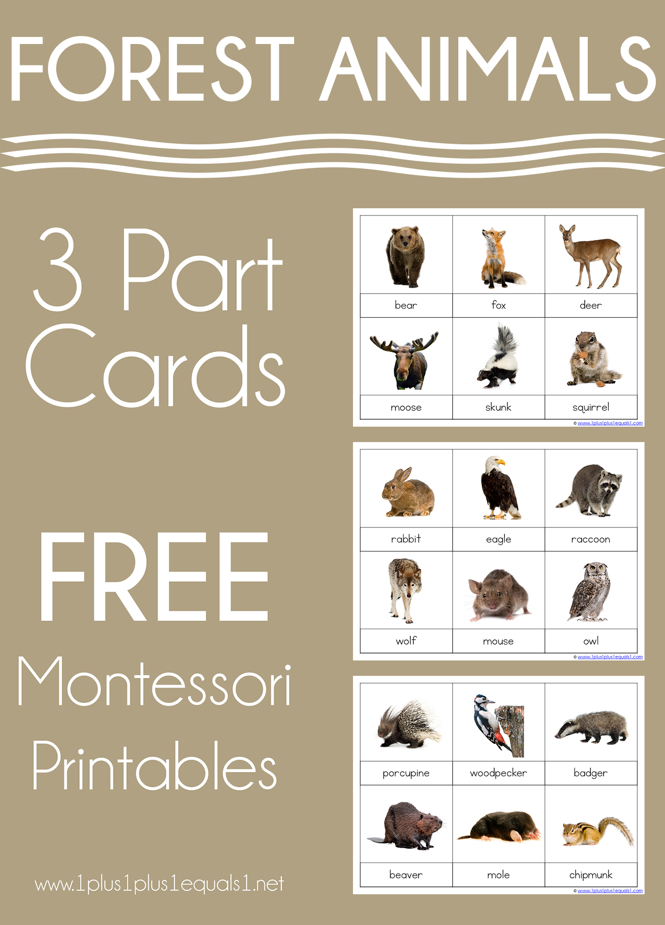 Forest Animals Montessori Printables – Free 3 Part Cards - 1+1+1=1 regarding Free Montessori Printables