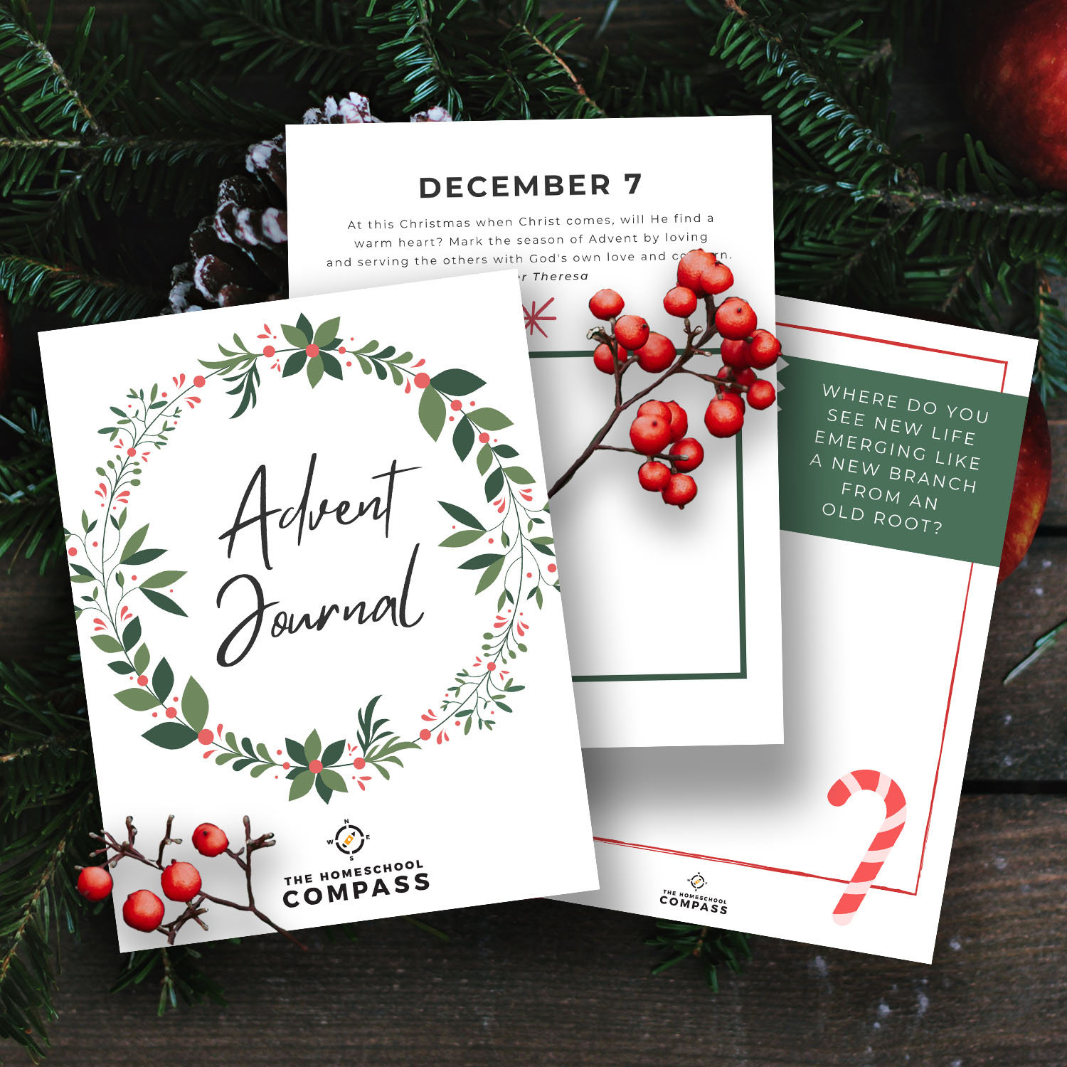 Free Advent Devotional Journal - Homeschool Compass in Free Printable Advent Devotions