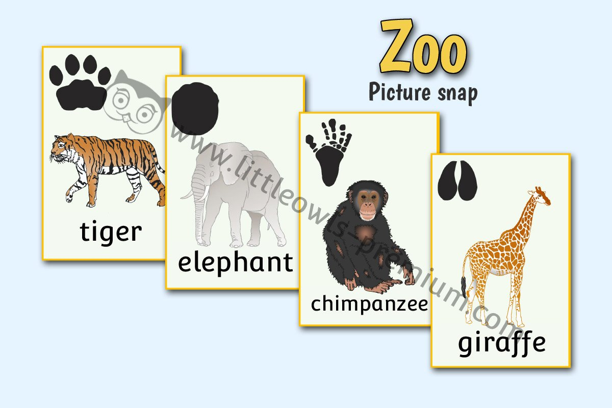 Free And Premium &amp;#039;Zoo Animals&amp;#039; Early Years (Eyfs) Editable throughout Free Printable Snap Cards