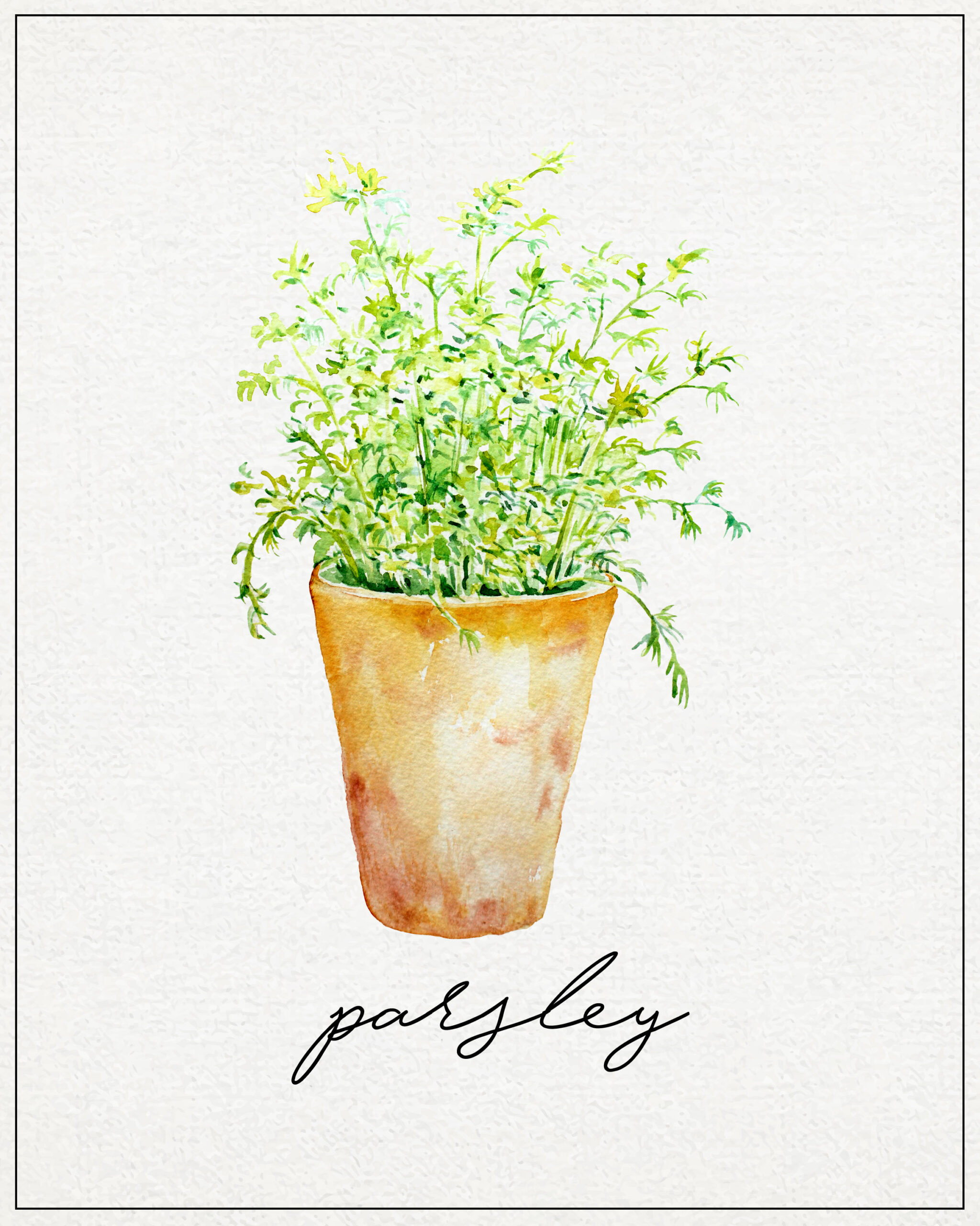 Free Kitchen Herb Wall Art Printables | The Cottage Market inside Free Printable Pictures Of Herbs