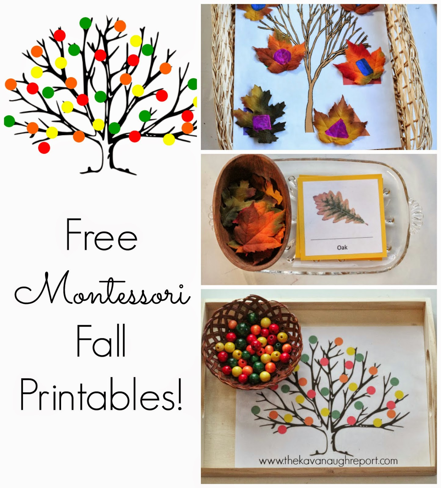 Free Montessori Inspired Fall Printables within Free Montessori Printables