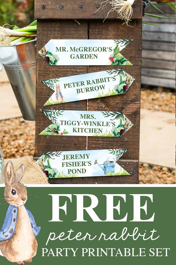 Free Peter Rabbit Party Invitation And Peter Rabbit Party Decor regarding Free Peter Rabbit Party Printables