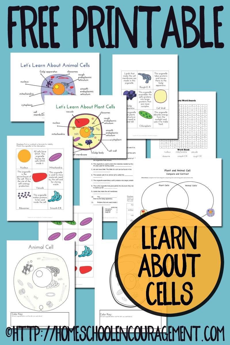 Free Plant And Animal Cell Printables regarding Free Printable Cell Worksheets