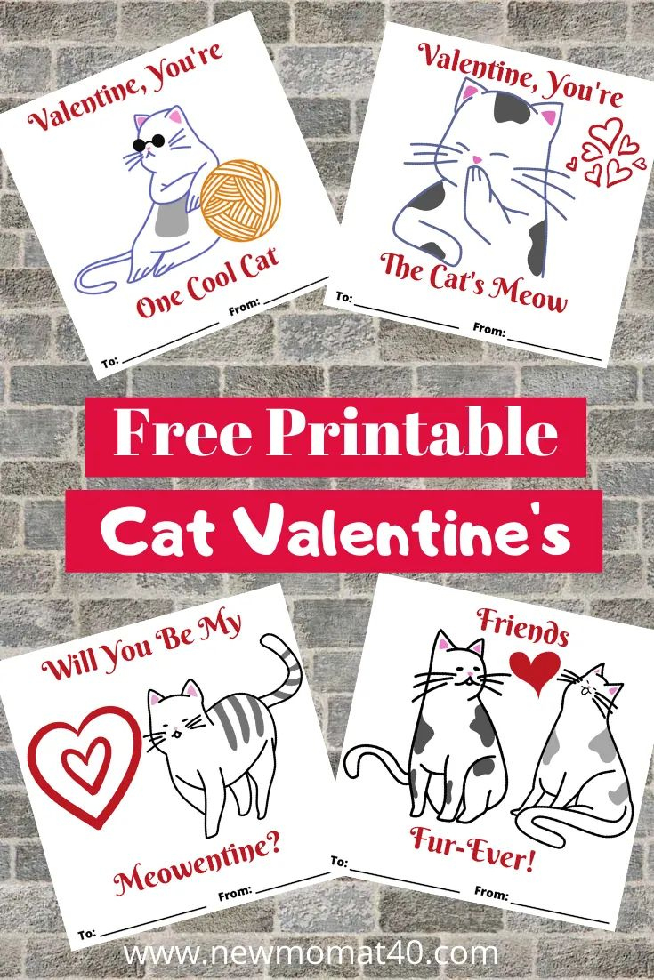 Free Printable Cat Valentine&amp;#039;S Day Cards - New Mom At 40 | Cat pertaining to Free Printable Cat Valentine Cards