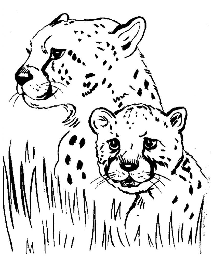 Free Printable Cheetah Coloring Pages For Kids | Coloring Pictures intended for Free Printable Cheetah Pictures