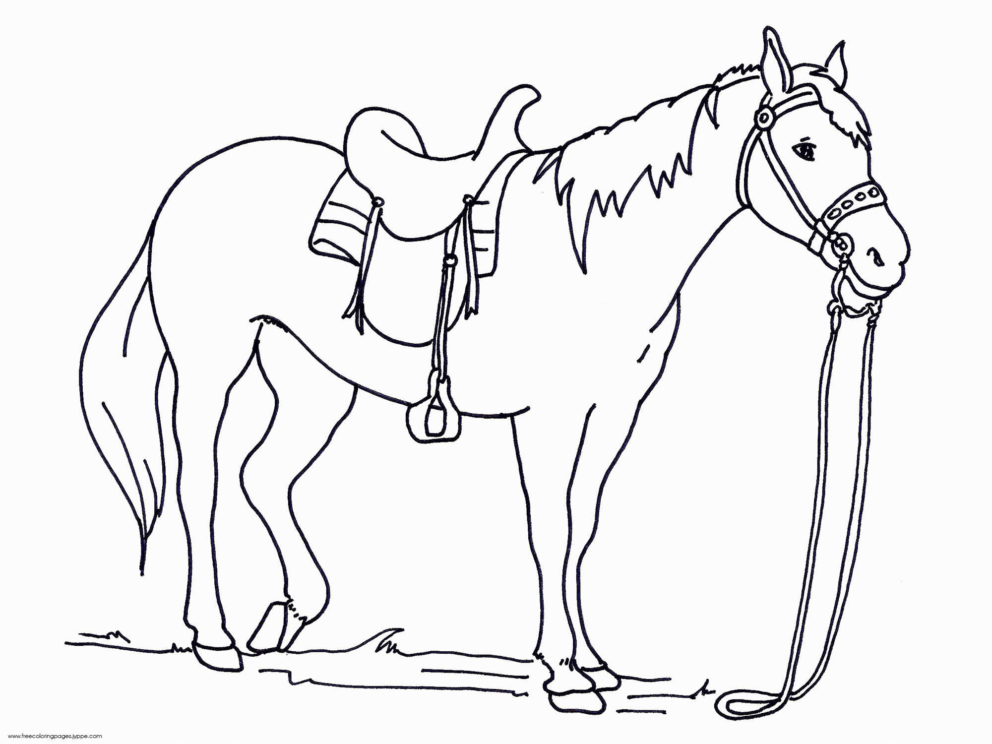 Free Printable Coloring Page Horse Great - Coloring Nation Pages pertaining to Free Printable Horse Coloring Pages