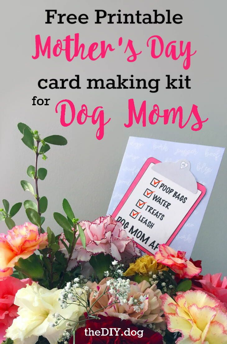 Free Printable Dog Mom Mother'S Day Card Making Kits | Free in Free Printable Mothers Day Cards From the Dog