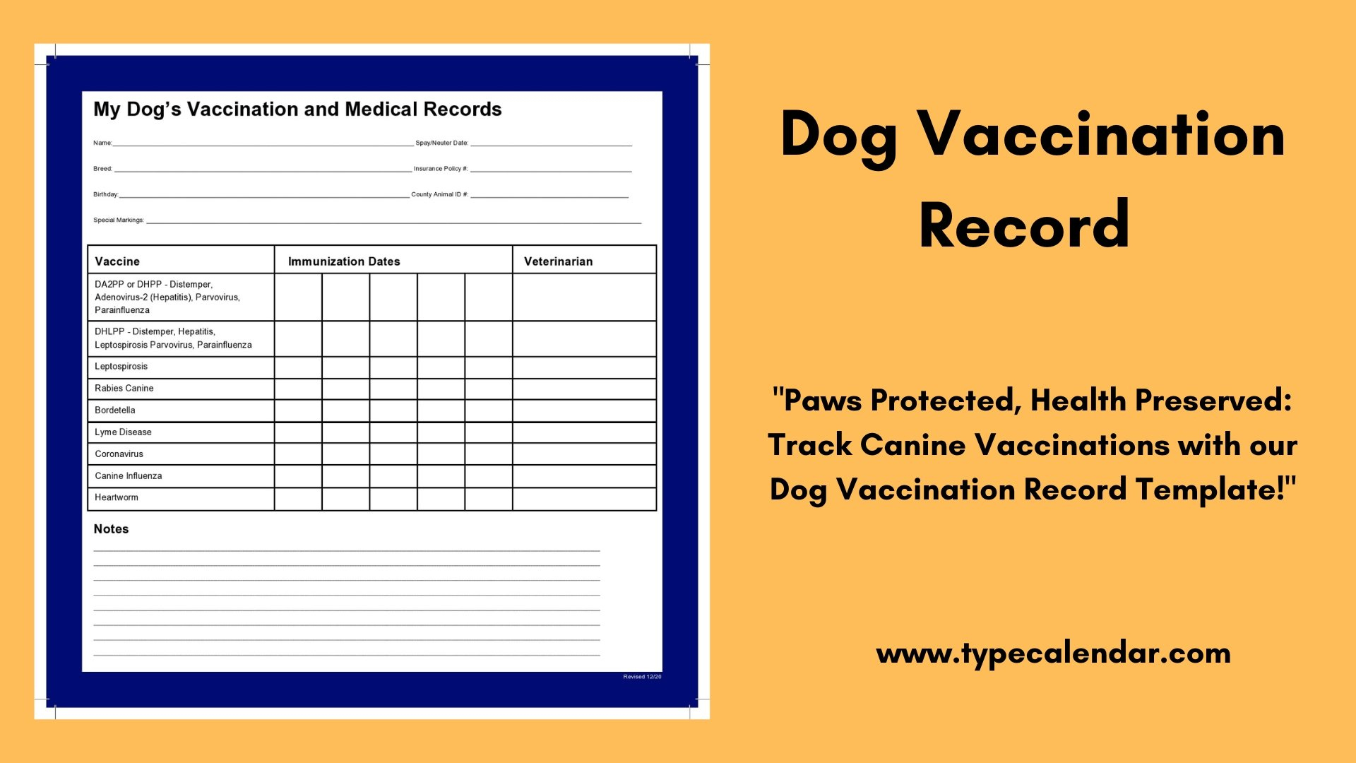 Free Printable Dog Vaccination Record Template: Keep Your Pet&amp;#039;S with regard to Free Printable Dog Shot Records