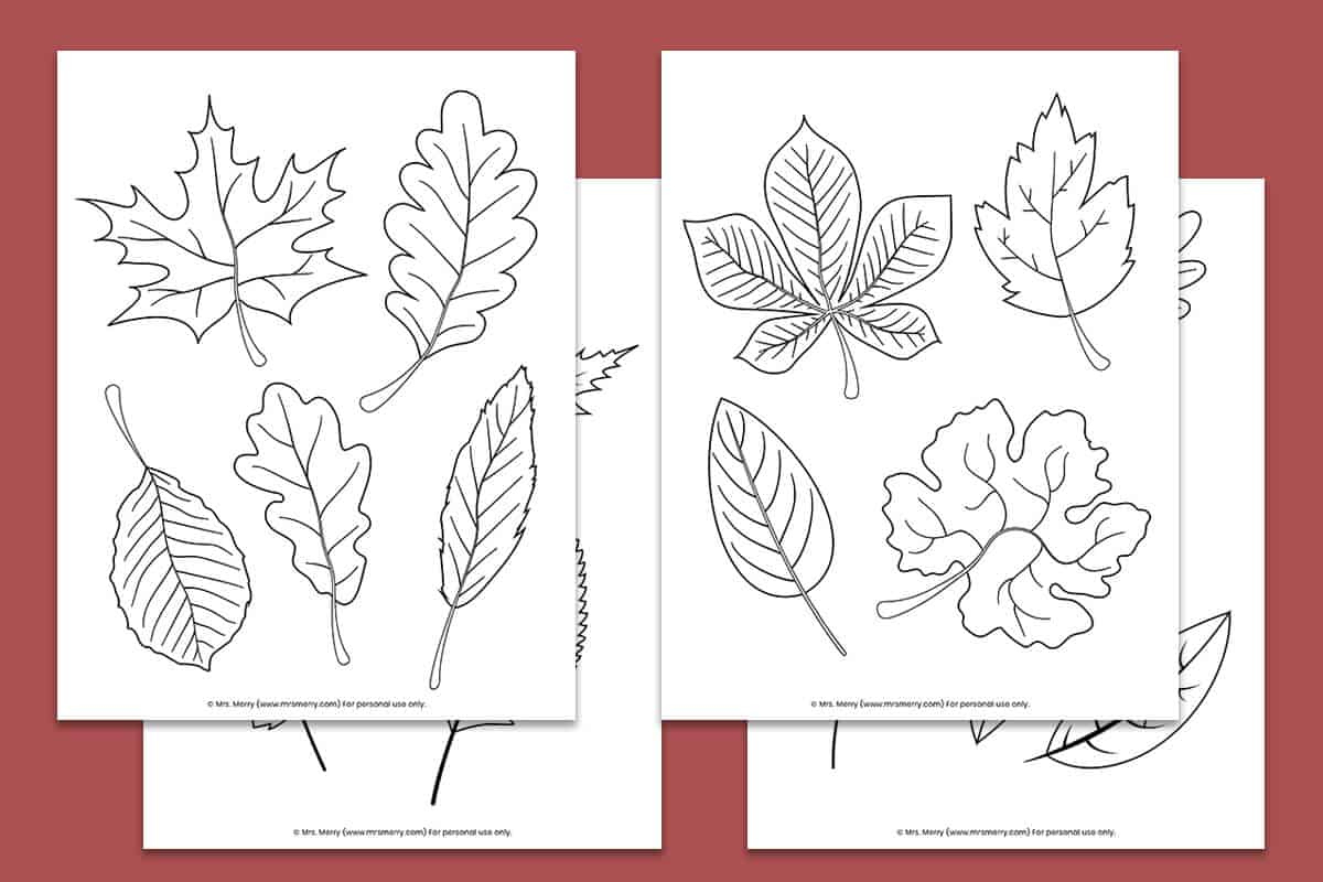 Free Printable Fall Leaves Coloring Pages | Mrs. Merry for Fall Leaves Pictures Free Printable