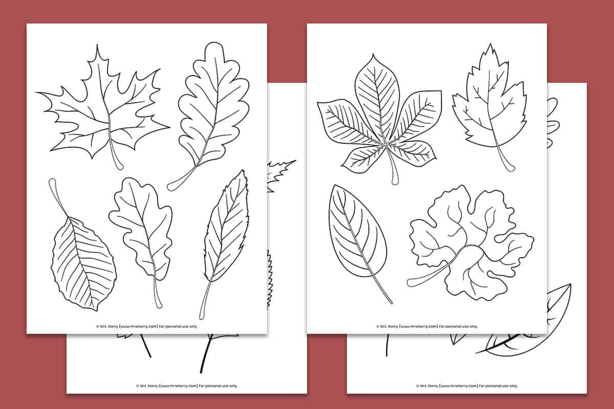 Free Printable Fall Leaves Coloring Pages | Mrs. Merry for Free Printable Fall Leaves Coloring Pages