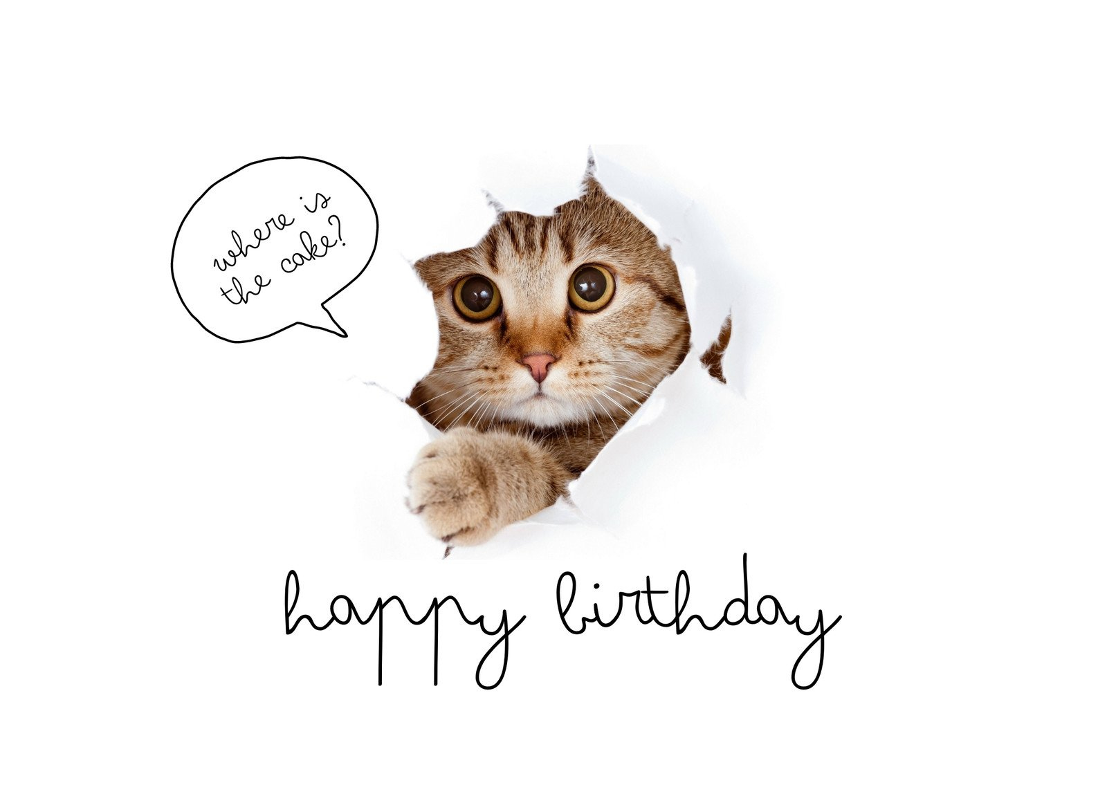 Free Printable Funny Birthday Card Templates | Canva for Free Printable Humorous Birthday Cards