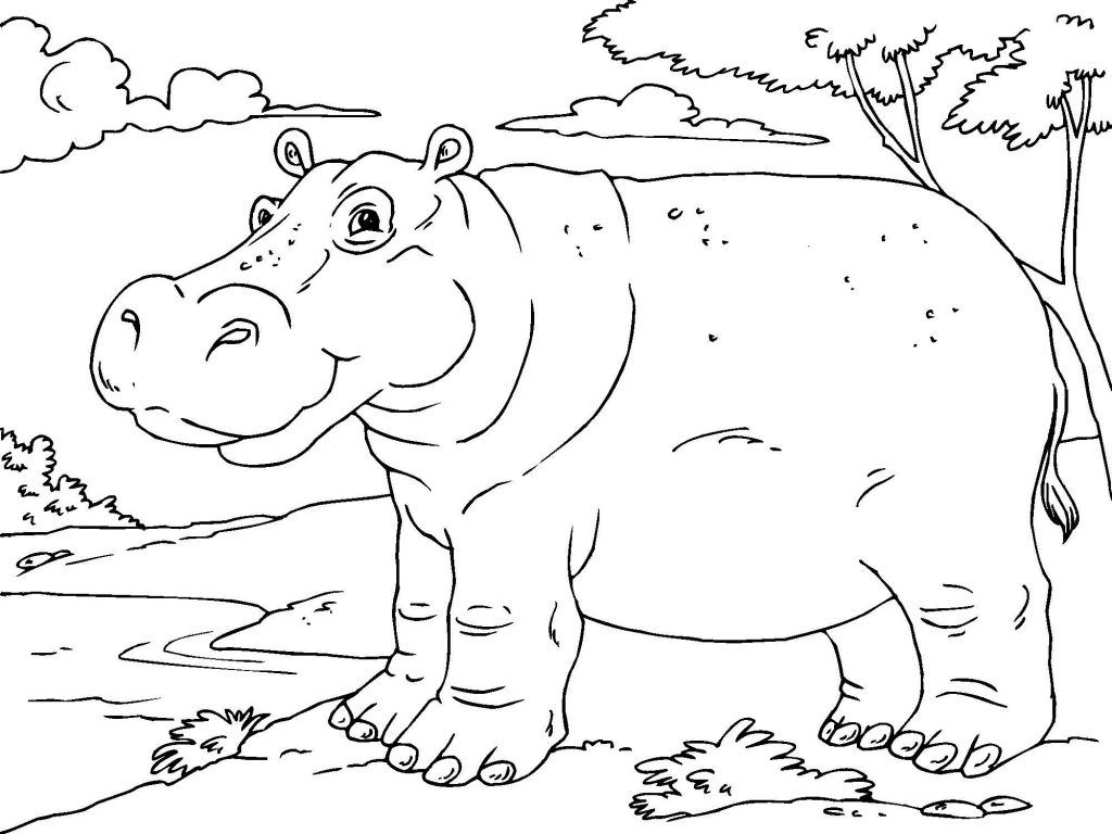 Free Printable Hippo Coloring Pages For Kids | Animal Coloring in Free Printable Hippo Coloring Pages