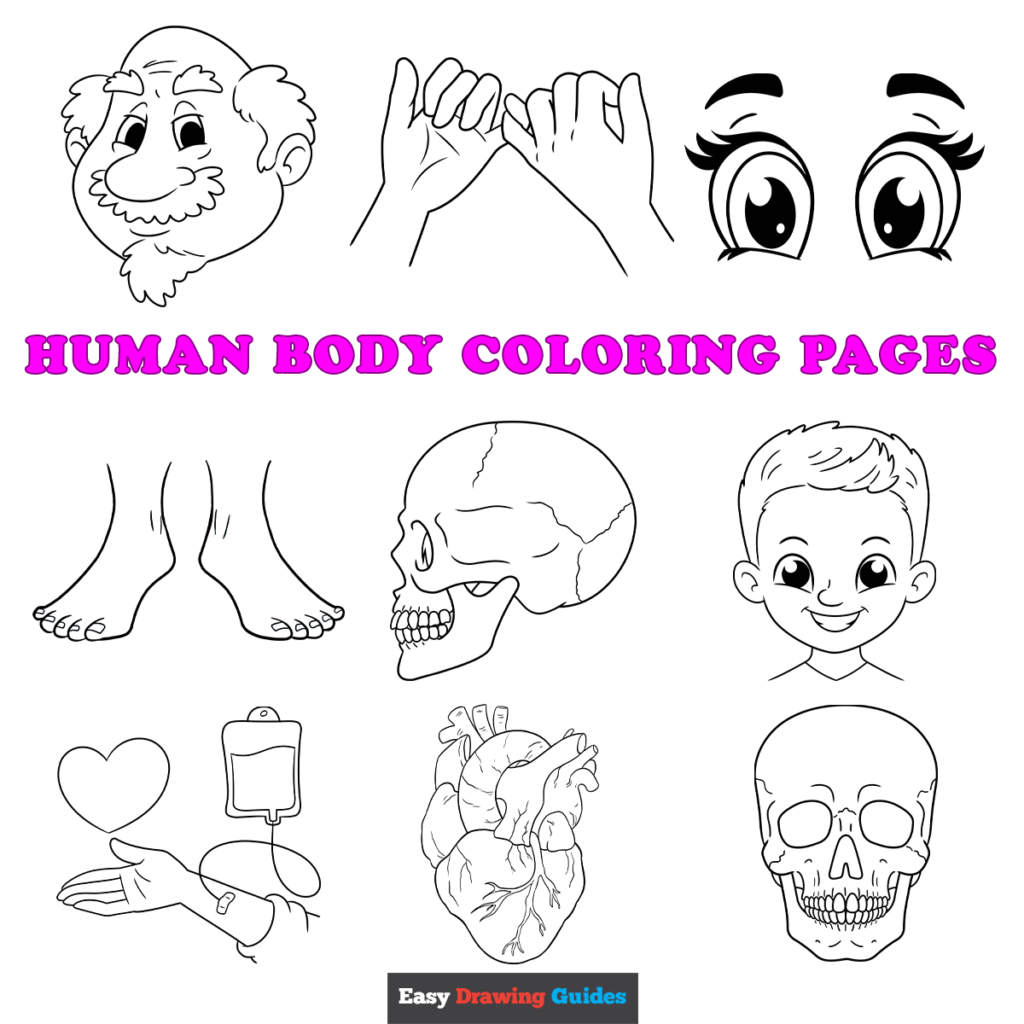 Free Printable Human Body Coloring Pages For Kids within Free Printable Human Anatomy Coloring Pages