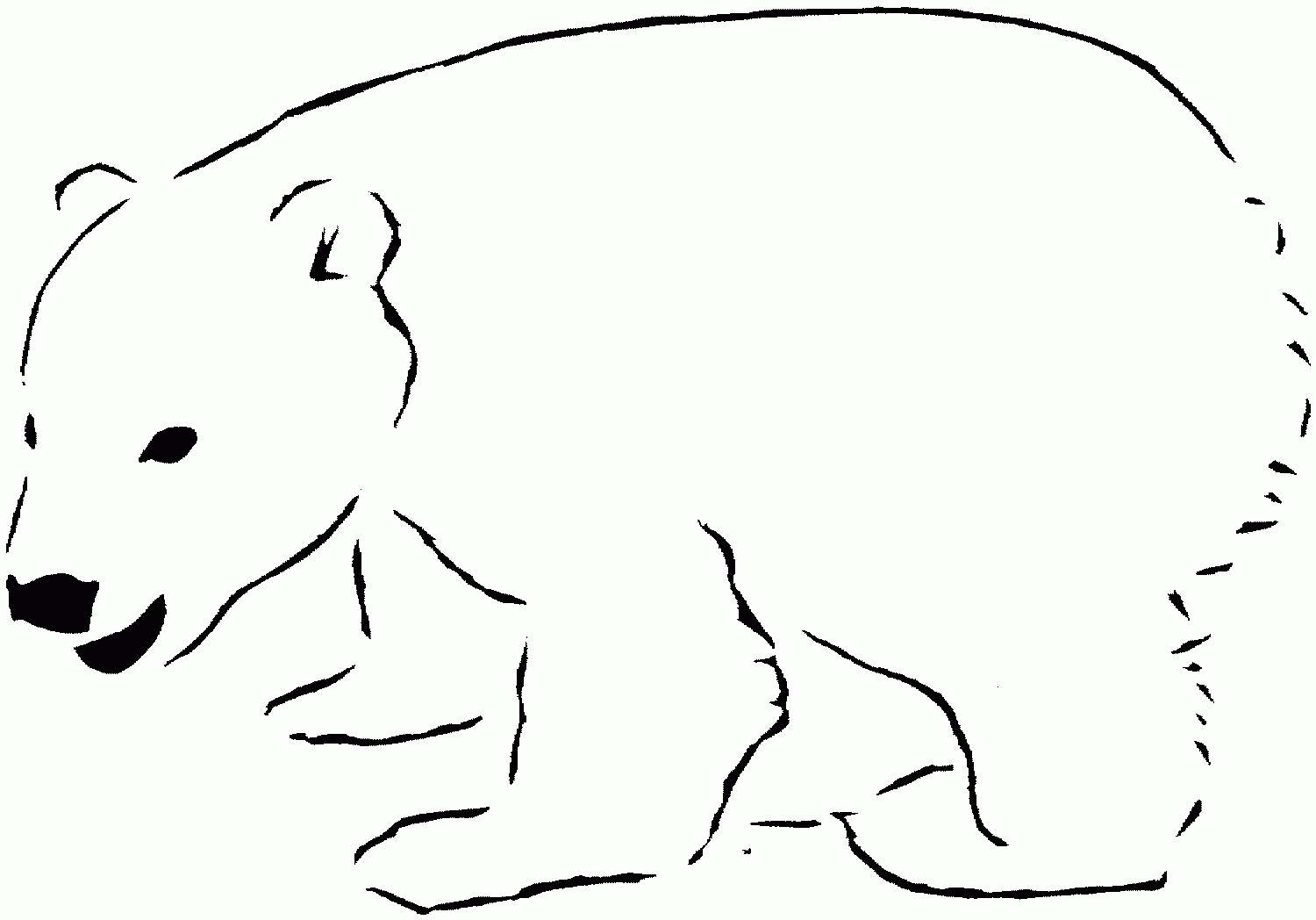 Free Printable Polar Bear Coloring Pages For Kids | Polar Bear within Polar Bear Printable Pictures Free