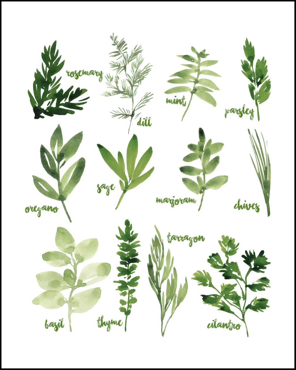 Free Printable Watercolor Herbs Art pertaining to Free Printable Pictures of Herbs