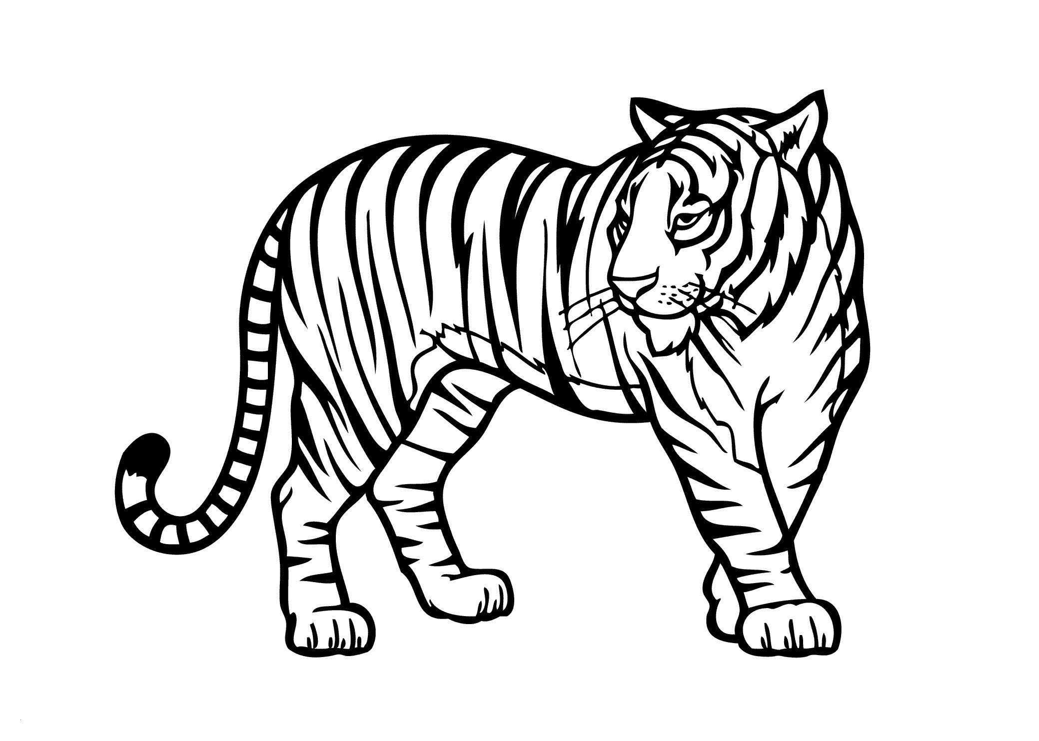 Free Printable Wild Animal Coloring Pages – Through The Thousands within Free Printable Wild Animal Coloring Pages