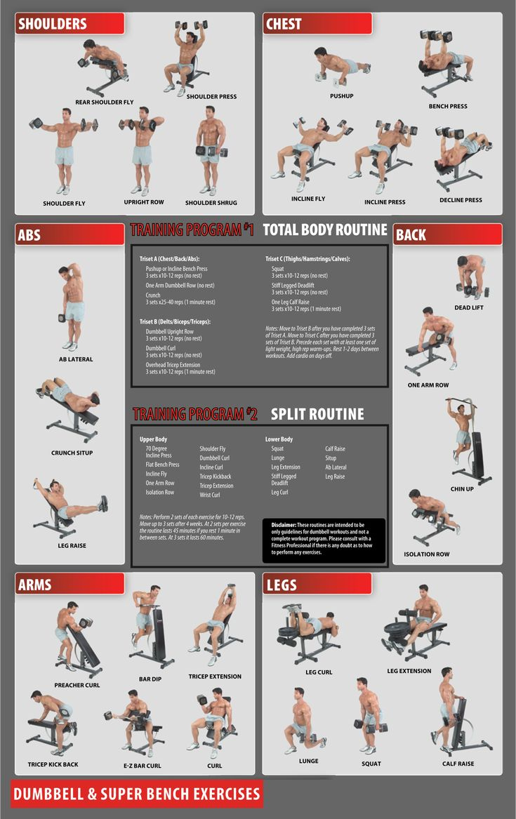 Free Printable Workout Charts For Effective Gym Training regarding Free Printable Workout Plans