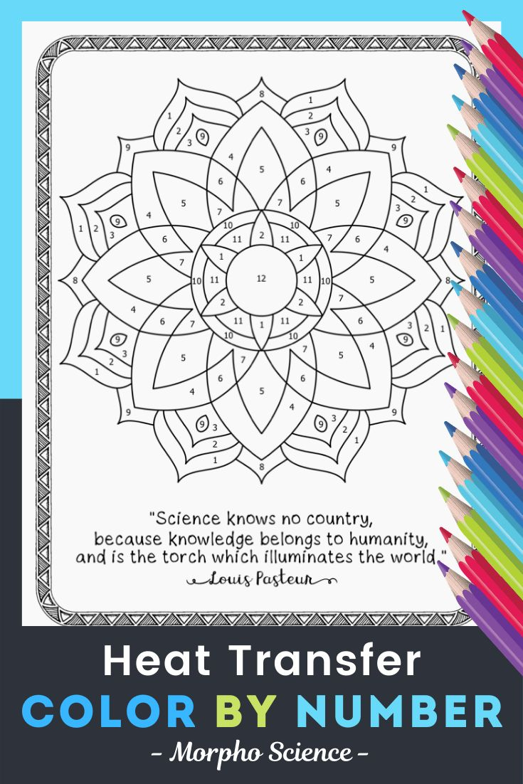 Heat Transfer Colornumber - Science Colornumber Review in Free Printable Heat Transfer Worksheets