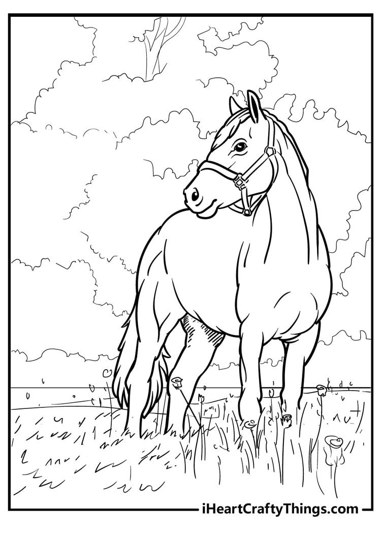 Horse Coloring Pages (100% Free Printables) with Free Printable Horse Coloring Pages