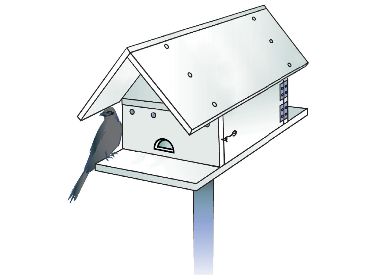 How To Build A Purple Martin House To Attract Bug-Eating Birds with regard to Free Printable Purple Martin House Plans