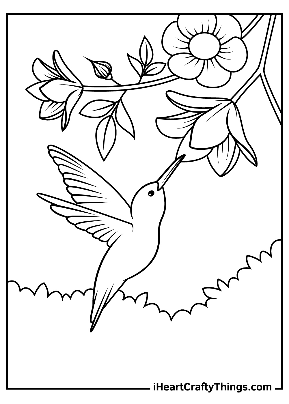 Hummingbird Coloring Pages (100% Free Printables) with Free Printable Pictures Of Hummingbirds