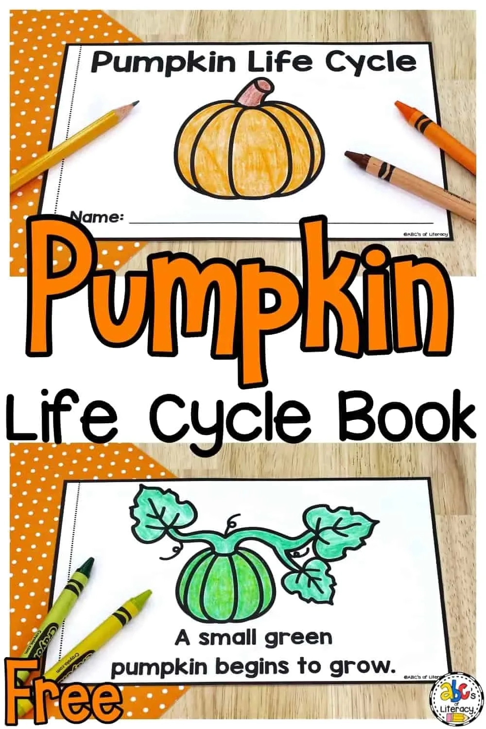 Life Cycle Of A Pumpkin Book: Free Printable Science Book for Free Printable Pumpkin Books