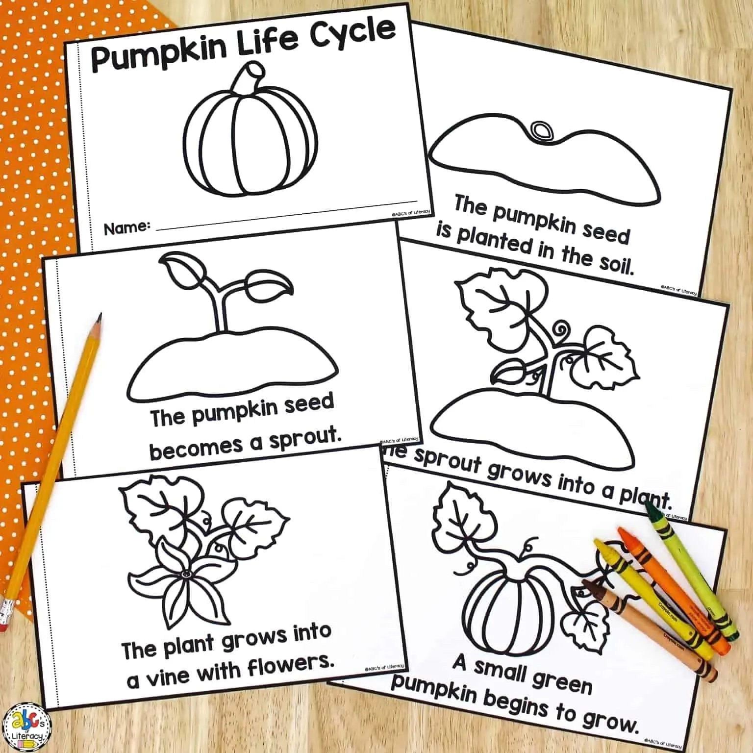 Life Cycle Of A Pumpkin Book: Free Printable Science Book pertaining to Free Printable Pumpkin Books