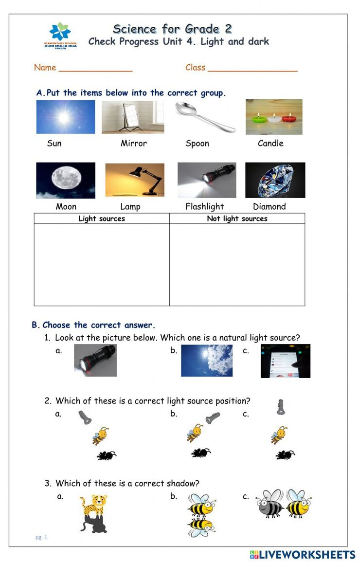 Light And Dark Exercise | 2Nd Grade Worksheets in Free Printable Science Worksheets for Grade 2