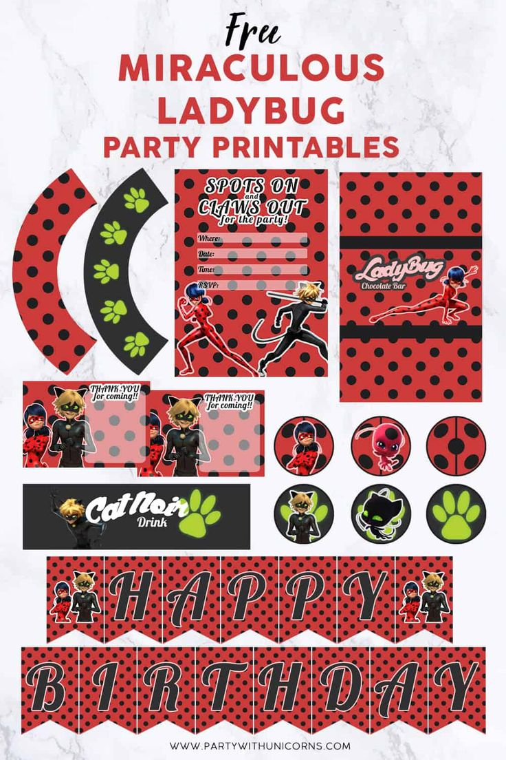 Miraculous Ladybug Party Favor Bags - With Free Printable Template for Ladybug Themed Birthday Party With Free Printables