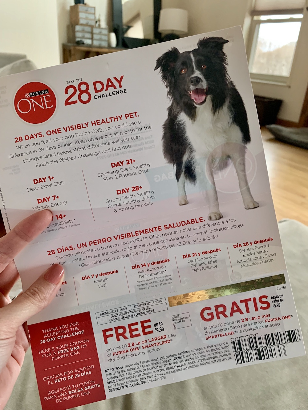 My Free Bag Of Purina One Dog Food Coupon Came Today! - Deal regarding Free Printable Coupons For Purina One Dog Food