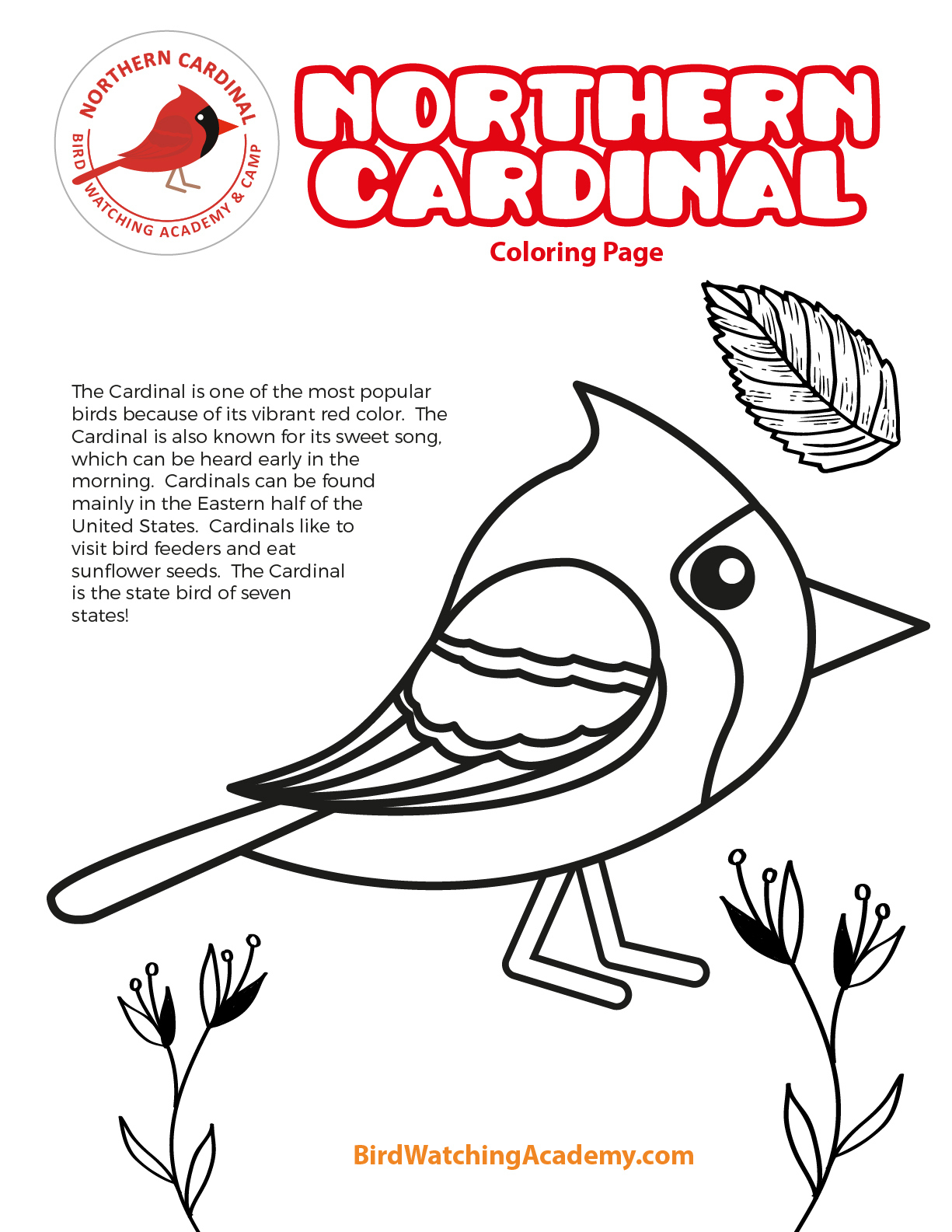 Northern Cardinal Coloring Page - Bird Watching Academy inside Free Printable Pictures Of Cardinals