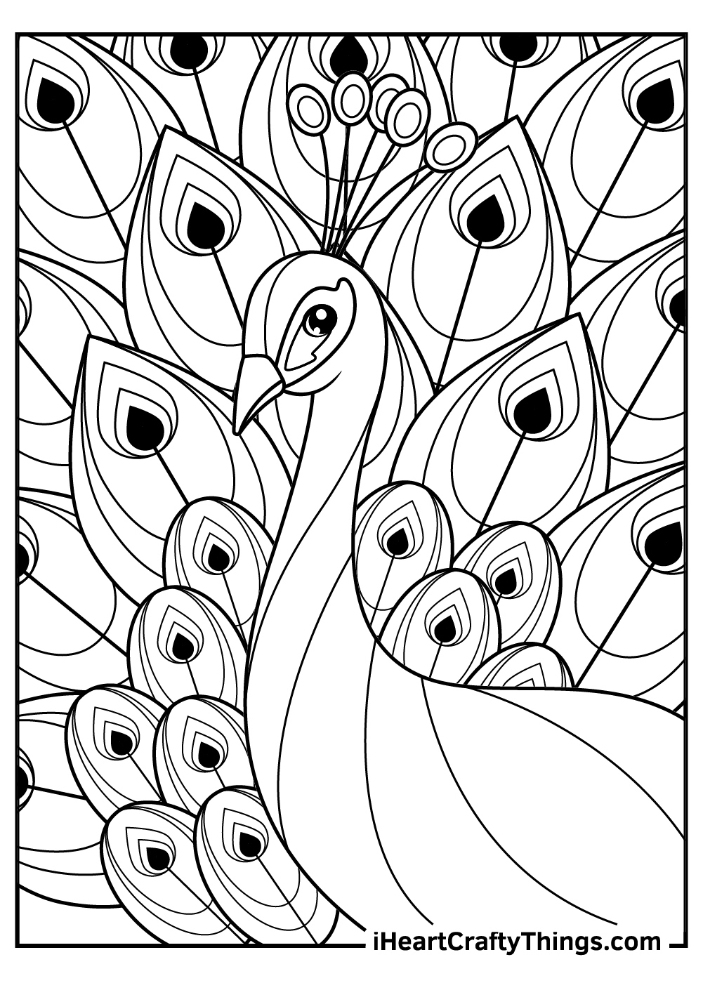 Peacocks Coloring Pages (100% Free Printables) for Free Printable Peacock Pictures