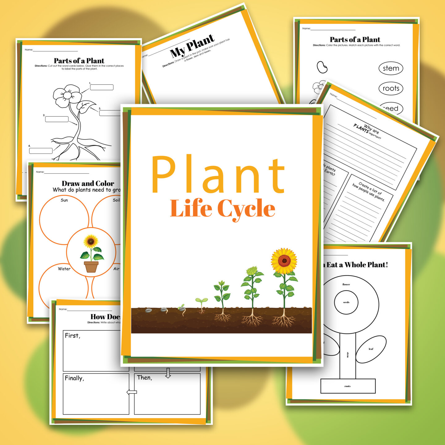 Plant Life Cycle Worksheets Free Printables For Kids - Adanna Dill inside Free Plant Life Cycle Worksheet Printables