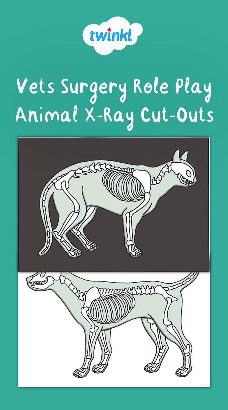 Printable Animal X Rays intended for Free Printable Animal X Rays