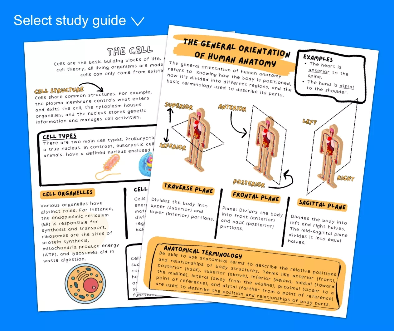 Printable Teas Practice Test Pdf: Free (2024) inside Free Printable Teas Study Guide