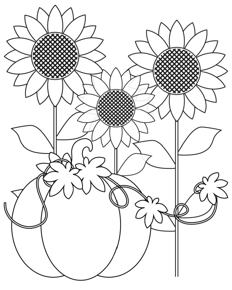 Pumpkin Harvest Coloring Page - Mama Likes This throughout Free Printable Fall Harvest Coloring Pages