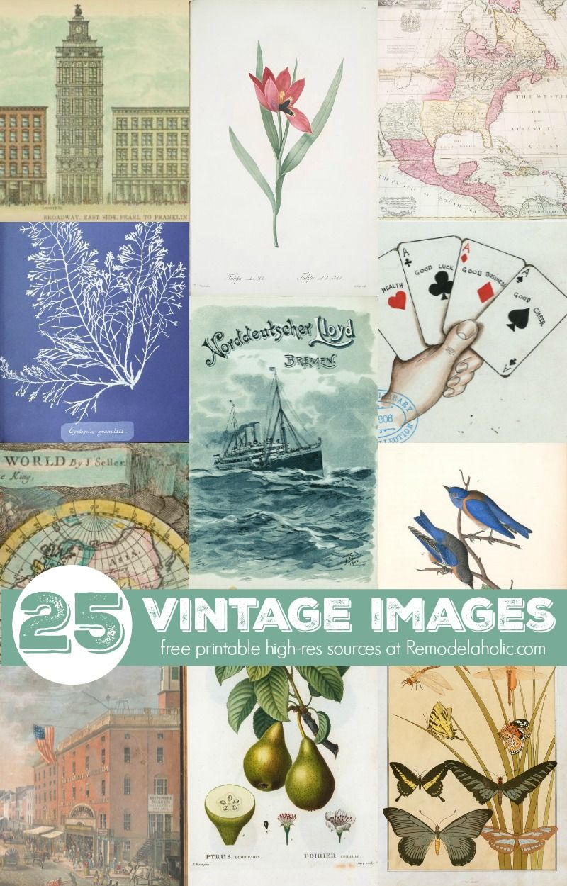 Remodelaholic | 25+ Free Printable Vintage Images | Free Art with Free Printable Vintage Pictures